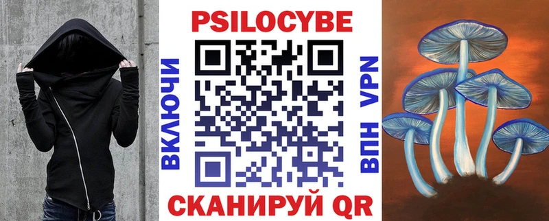 купить наркоту  hydra зеркало  Псилоцибиновые грибы Magic Shrooms  Псков 