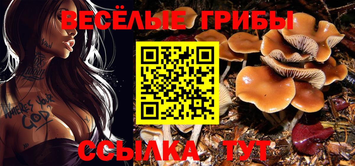 Псков  Псилоцибиновые грибы Cubensis  Галлюциногенные грибы Cubensis  где купить наркоту  Вход с VPN 