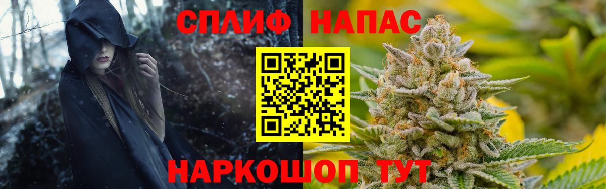 Бошки Шишки семена Псков